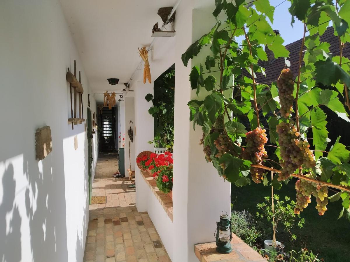Egkoris Vendeghaz Hotel Bakonyszucs Exterior photo
